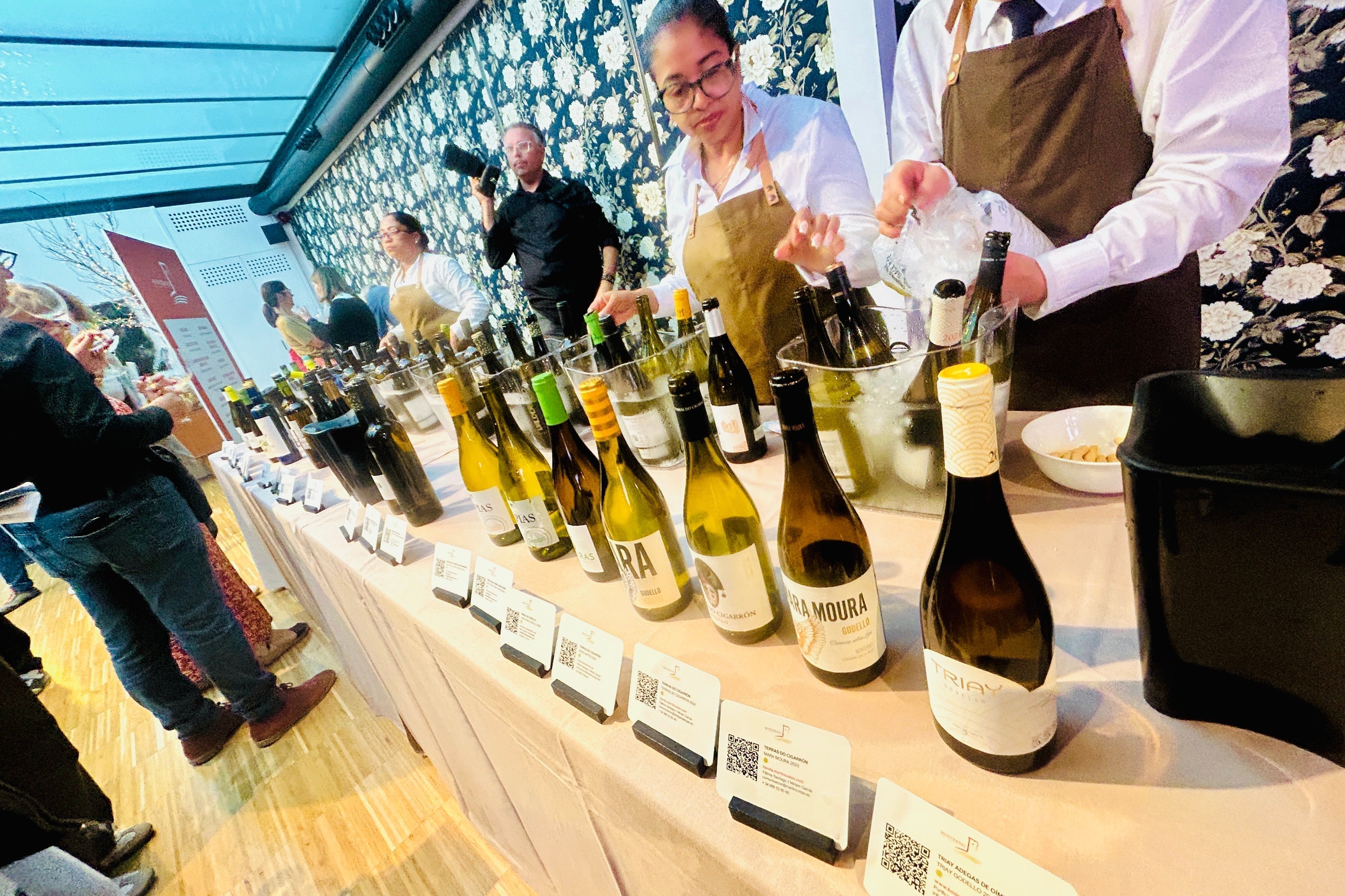 【モンテレイ】ガリシアで最も小さく、最も若いDO(原産地呼称) / DOモンテレイ試飲会レポート、バルセロナより