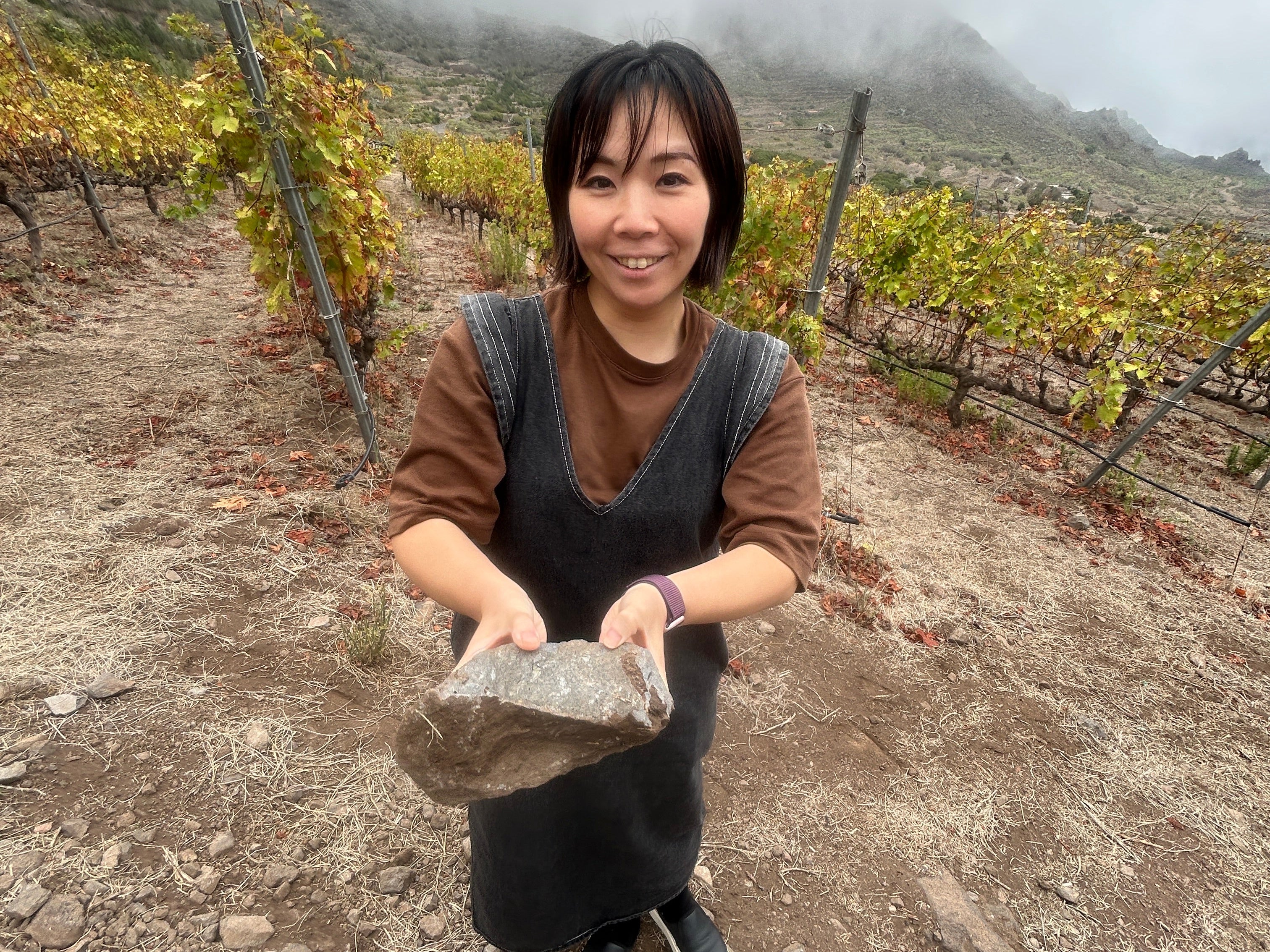 森本美雪ソムリエに聞く─火山島テネリフェの魅力とワインペアリング